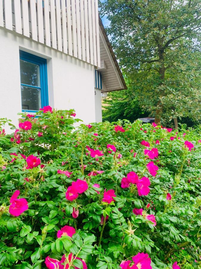 Ferienwohnung Schwalbe Wieck/Darss Bagian luar foto